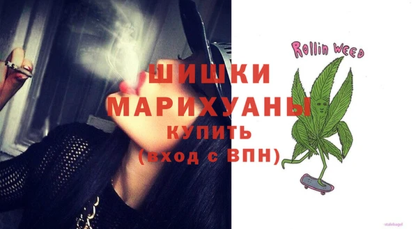 винт Алзамай
