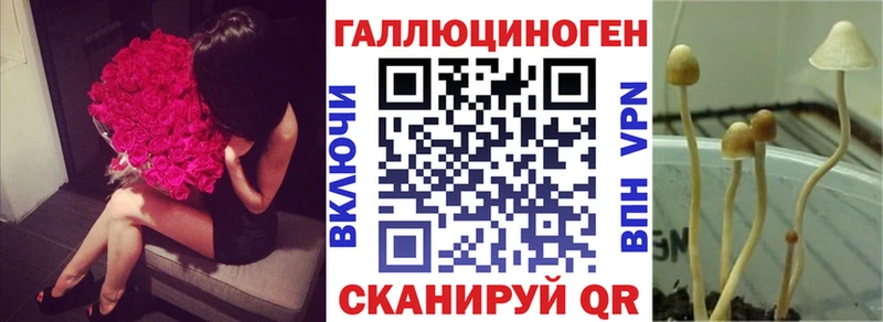Псилоцибиновые грибы Psilocybine cubensis  Комсомольск 